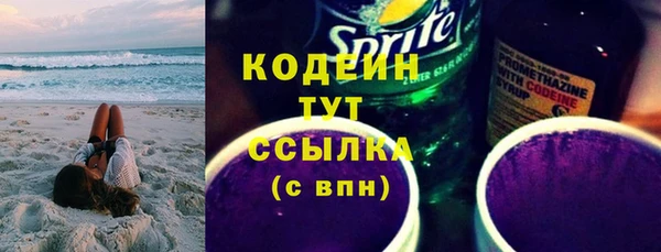 ECSTASY Алзамай