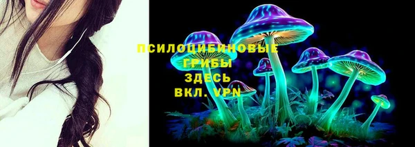 ECSTASY Алзамай
