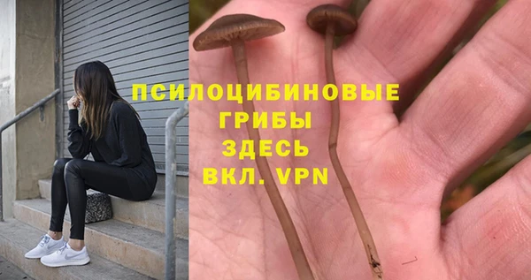 ПСИЛОЦИБИНОВЫЕ ГРИБЫ Алексеевка