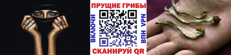Галлюциногенные грибы мухоморы Калтан